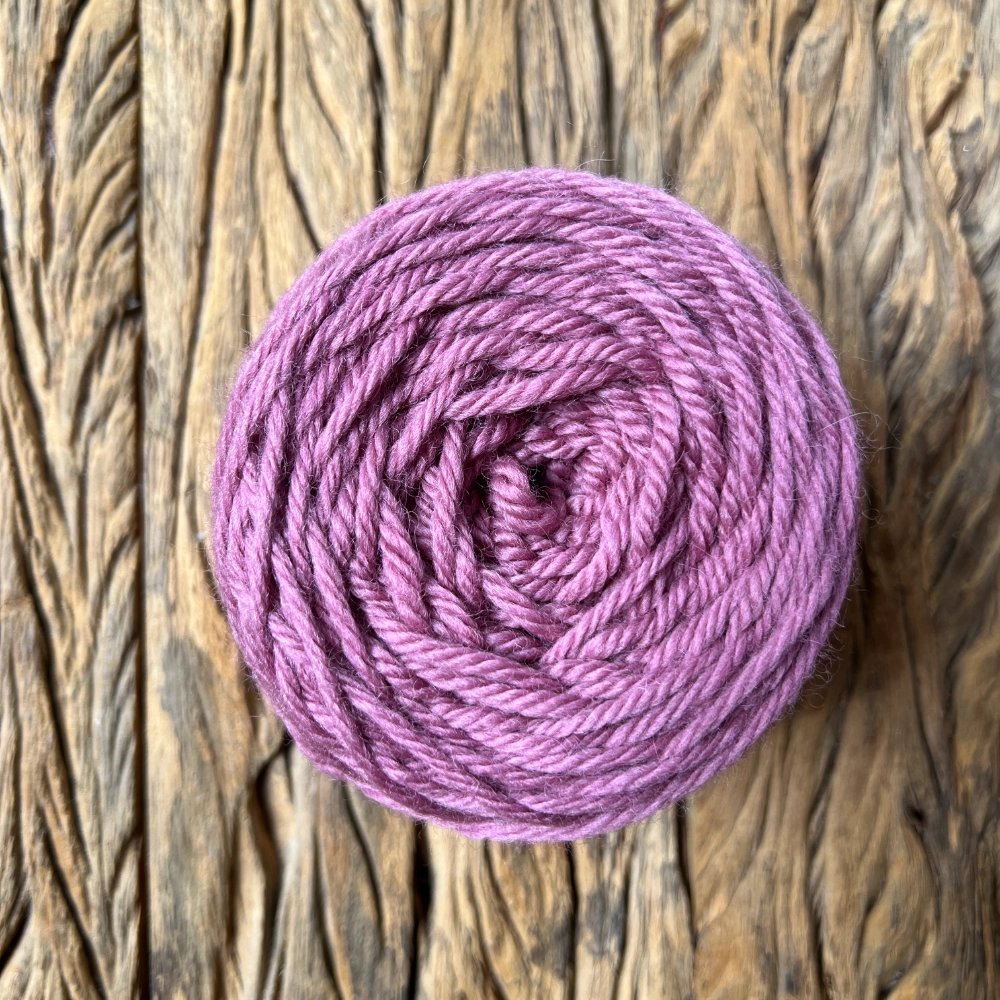Rosa Malva